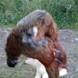 Konec hran�, zac�n� v�cvik.