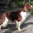 Tak je�t� foto a poz�t�� mi bude 4 roky a 5 m�s�c�.