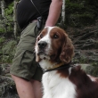 3. 7. 2012 v�let - Jir�skovy sk�ly (Bischofstein prost� Bi��k)