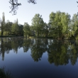 Klid ped zvody